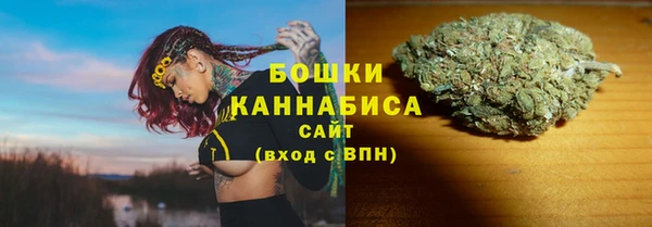 винт Анива