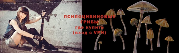 спиды Майский
