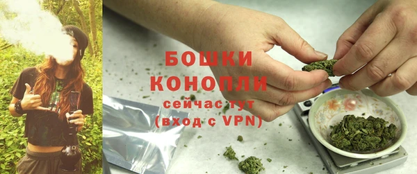 винт Анива