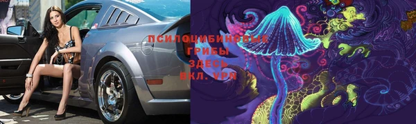мдпв Магадан