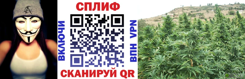 Бошки марихуана индика  blacksprut ССЫЛКА  Камешково 